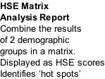 HSE Matrix  Analysis Report Combine the results of 2 demographic groups in a matrix.  Displayed as HSE scores Identifies ‘hot spots’
